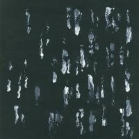 Виниловая пластинка SIGHTINGS / AMUSERS AND PUZZLERS (1LP)